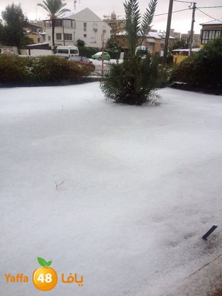 iceman lud 1213 (92).jpg